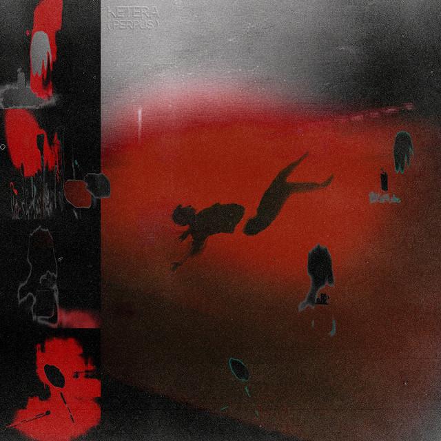 perpùs cover art