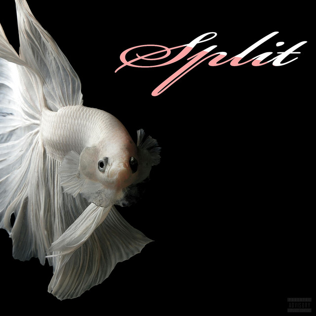 Split cover art