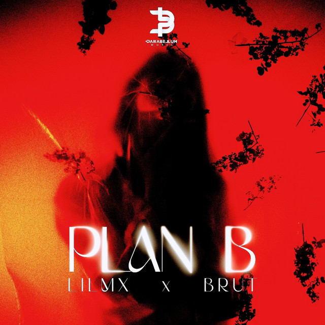 Plan B cover art
