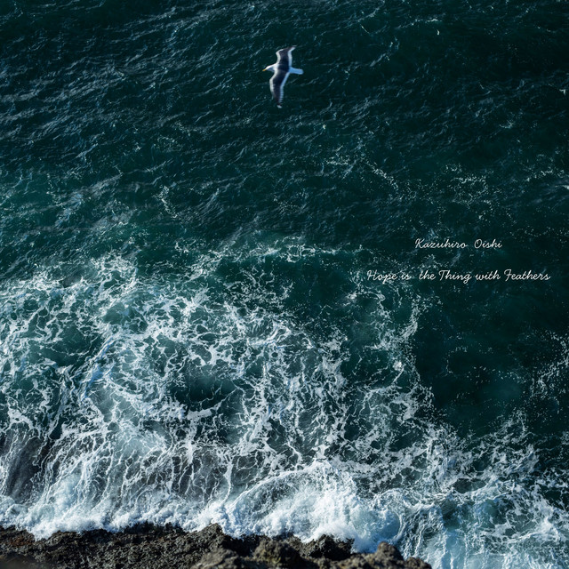 Hope is the Thing with Feathers