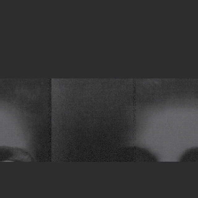 Forsythia cover art
