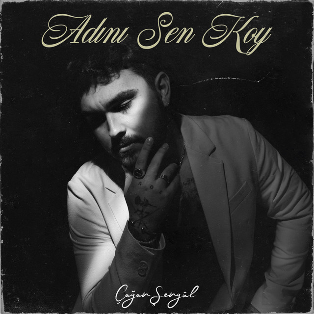 Adını Sen Koy cover art
