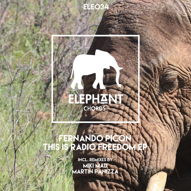 This Is Radio Freedom - Martin Panizza Remix cover art