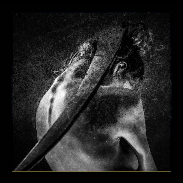 Smrti sel cover art