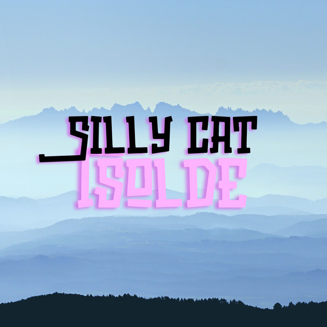 Silly cat cover