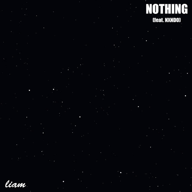 Nothing cover art