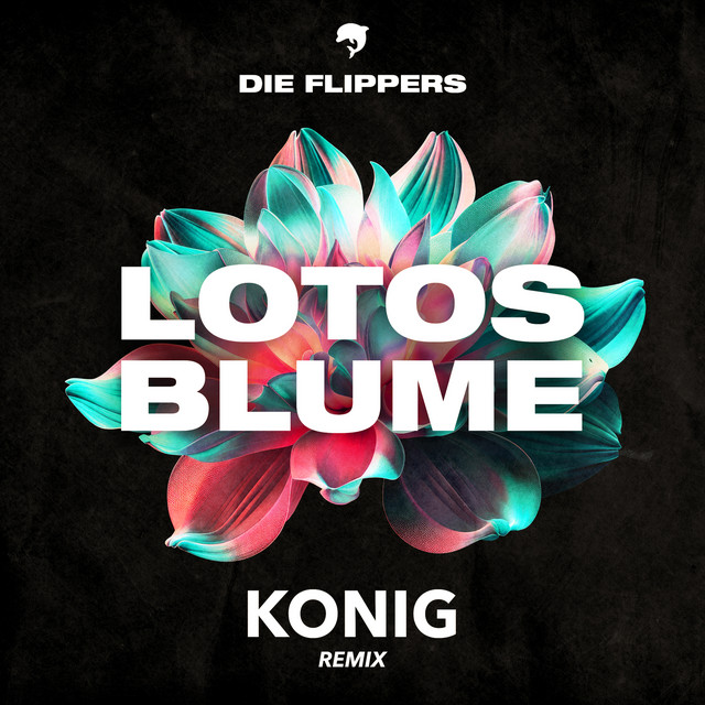 Lotosblume cover