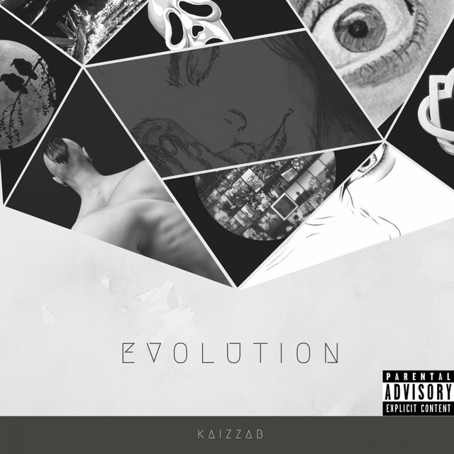 Evolution cover art