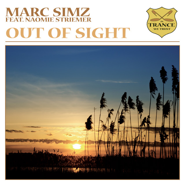Out of Sight - Instrumental Mix cover art