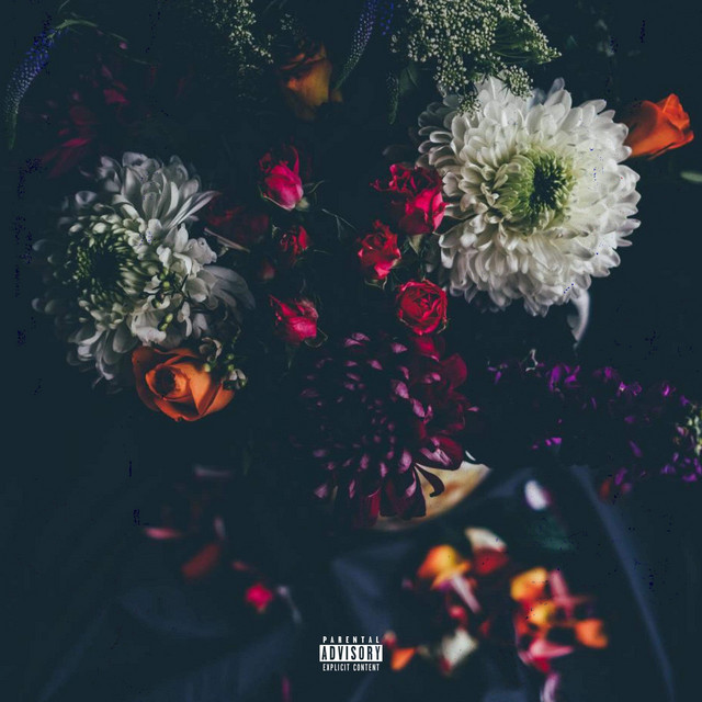 She Loves Me, She Loves Me Not cover art