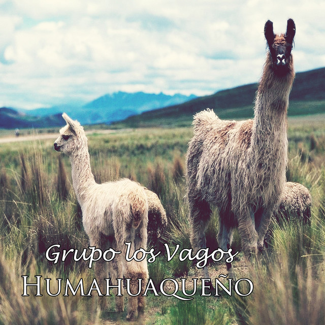 Grupo Los Vagos