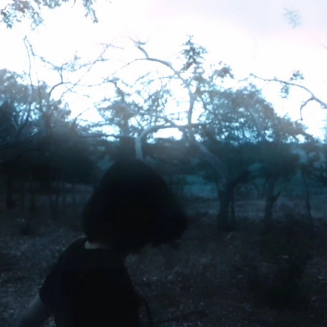 decay