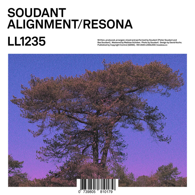 Alignment / Resona cover art