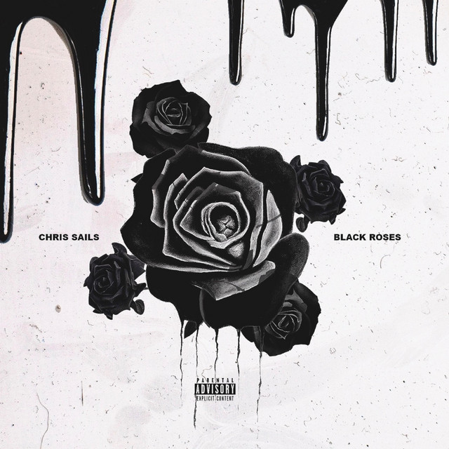 Black Roses - song and lyrics by Chris Sails | Spotify
