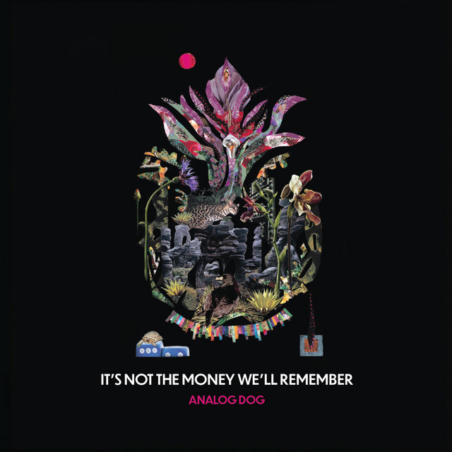 IT'S NOT THE MONEY WE'LL REMEMBER cover art