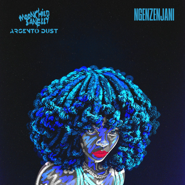 Ngenzenjani album image