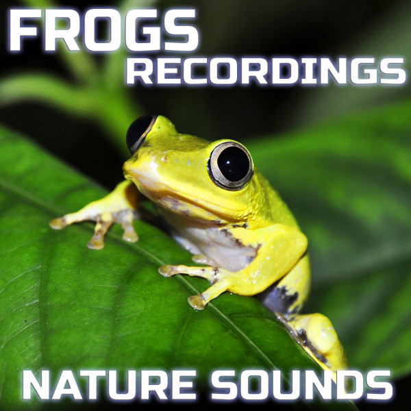 Frogs Recordings Nature Sounds cover art