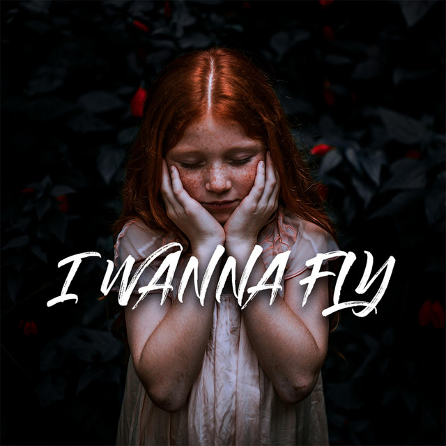 I Wanna Fly Can You Take Me Far Away (DRILL)
