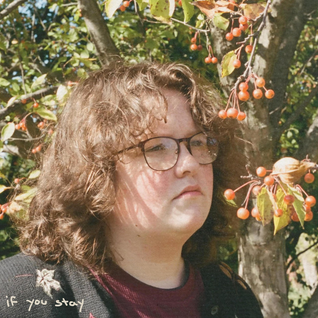 if you stay cover art