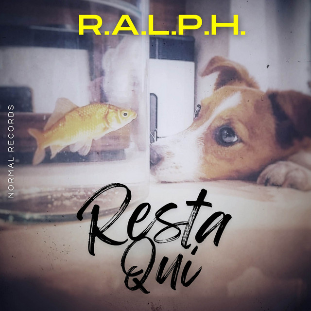 Resta qui