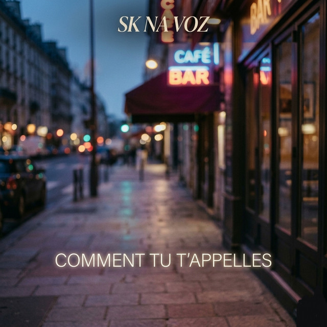 SK NA VOZ