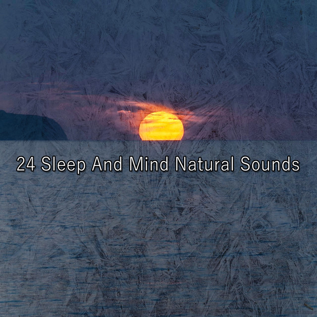 24 Sleep And Mind Natural Sounds - Album by Life Sounds Nature | Spotify