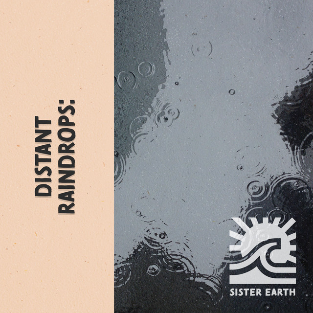 Distant Raindrops: It's Raining in the Meadows cover art