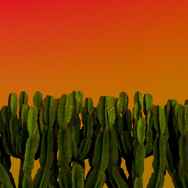 Kaktoos cover art