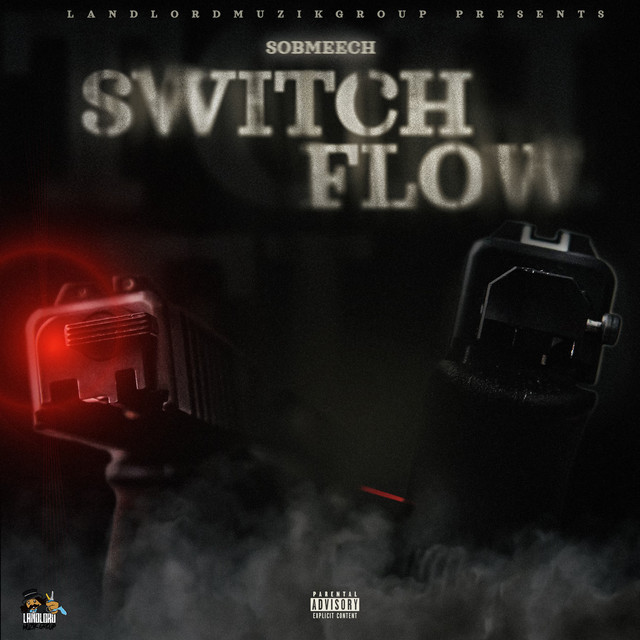 Switch Flow cover art