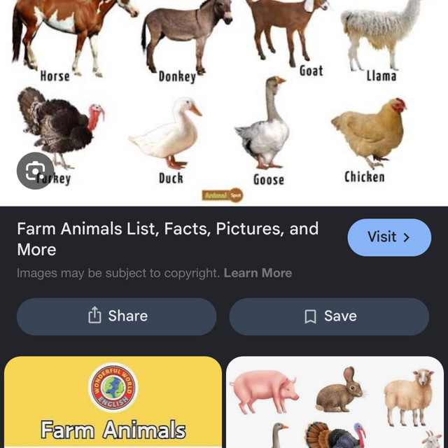 Animals Of The Farm cover art
