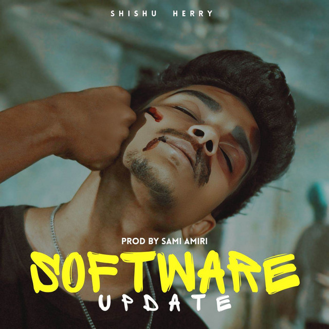 Software Update