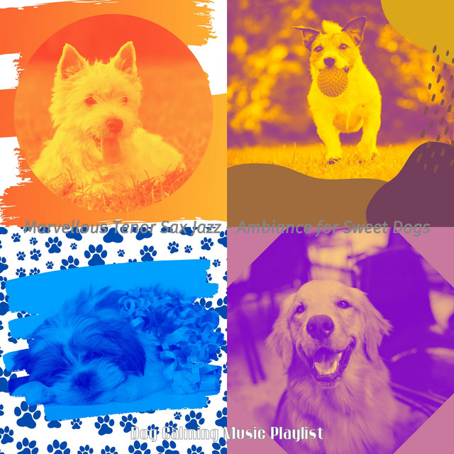 Marvellous Tenor Sax Jazz - Ambiance for Sweet Dogs cover art