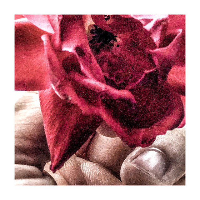 Forever & Always cover art