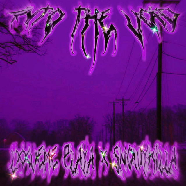 Cover art: INTO THE VOID — SnowYkilla