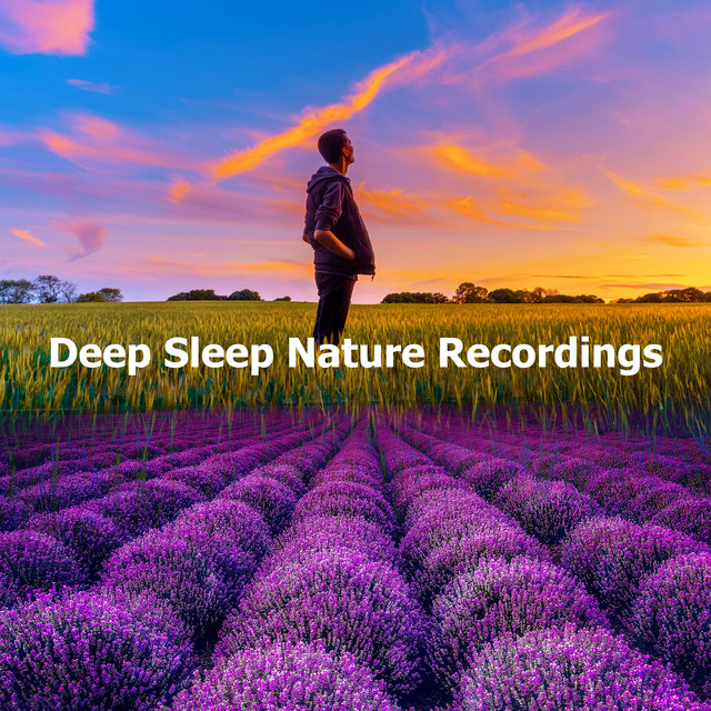 Deep Sleep Nature Recordings - Album by Nature Sound Collection | Spotify