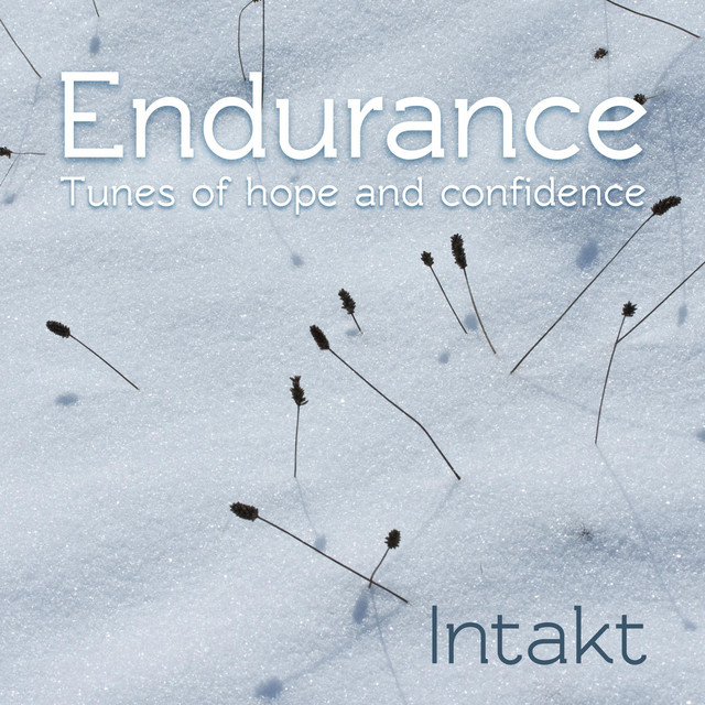 Endurance cover art