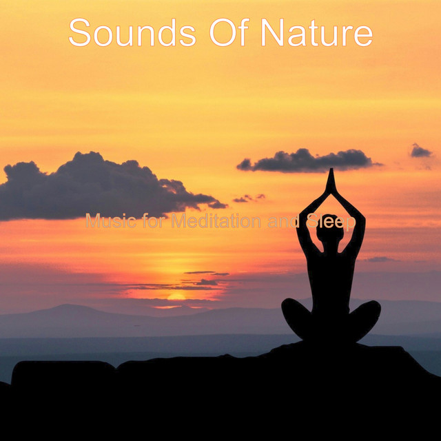 Music for Meditation and Sleep - Album by Sounds Of Nature | Spotify