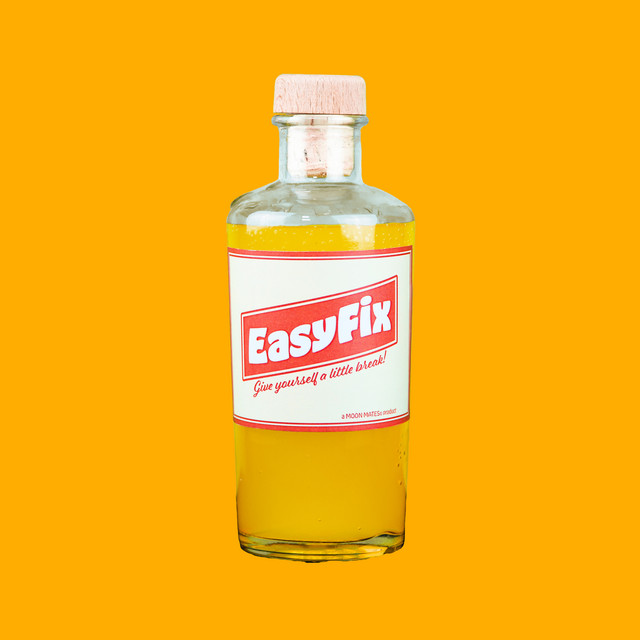 Easy Fix cover