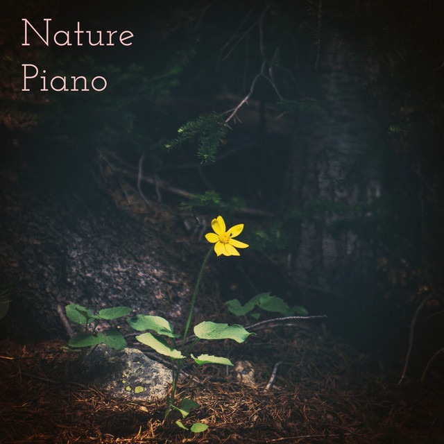 Nature Piano cover art