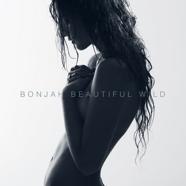 Evolution - Bonjah