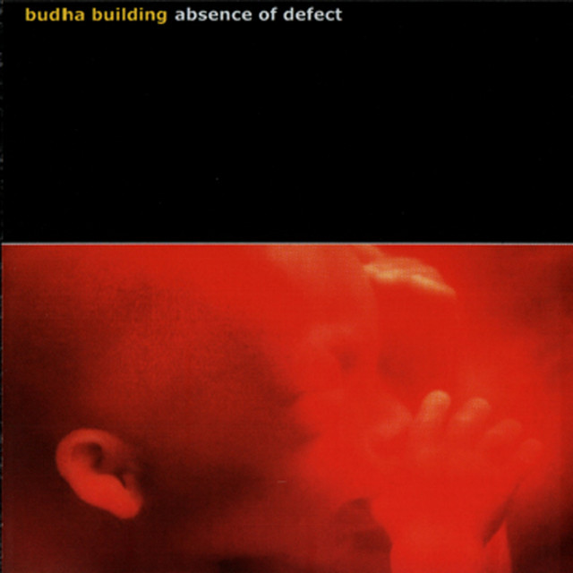 Absence of Defect cover