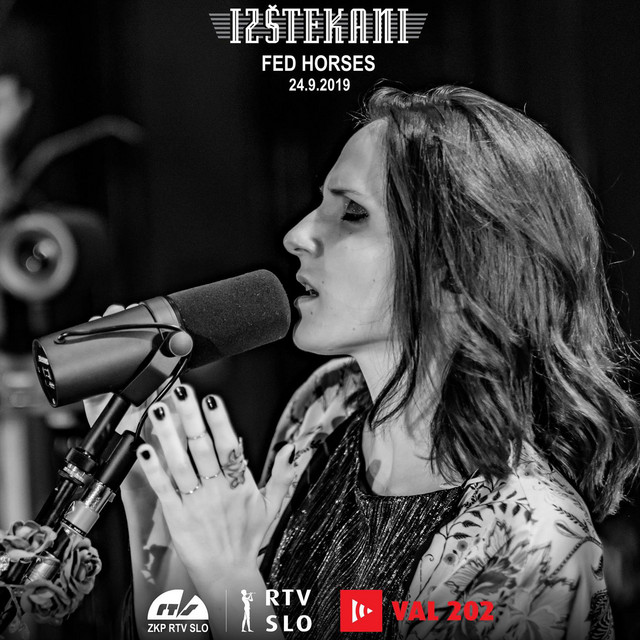 Izštekani cover art