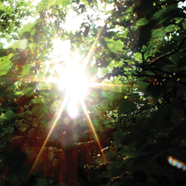 Summer Light cover art