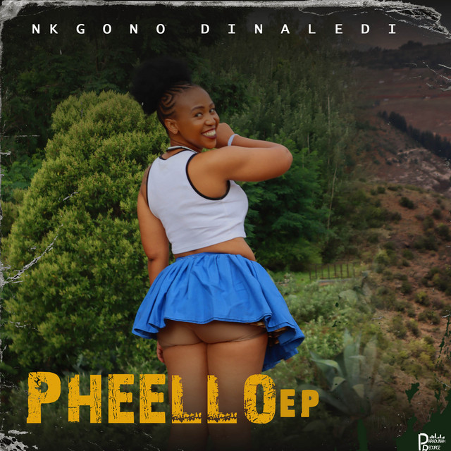 Nkgono Dinaledi