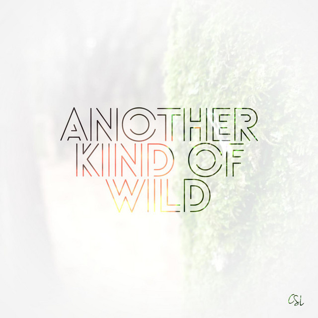 Another Kind of Wild cover art