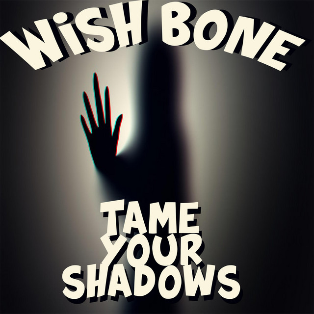 Tame Your Shadows cover
