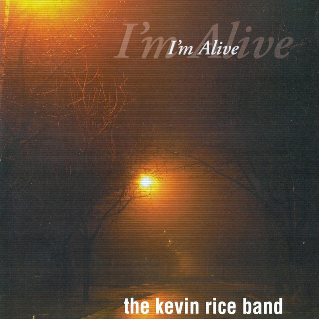 Kevin Rice Band