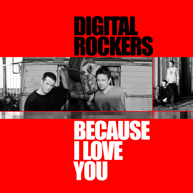 Because I Love You - Radio Cut