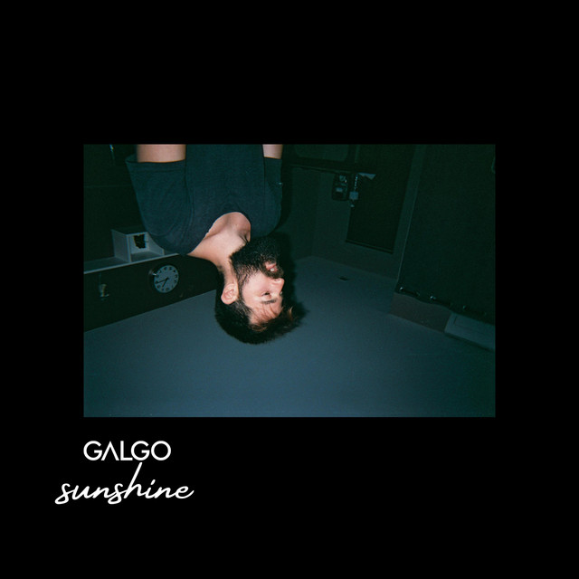 Sunshine cover art