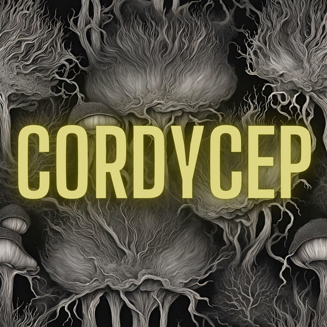 CORDYCEP cover